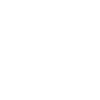 Wheel Icon